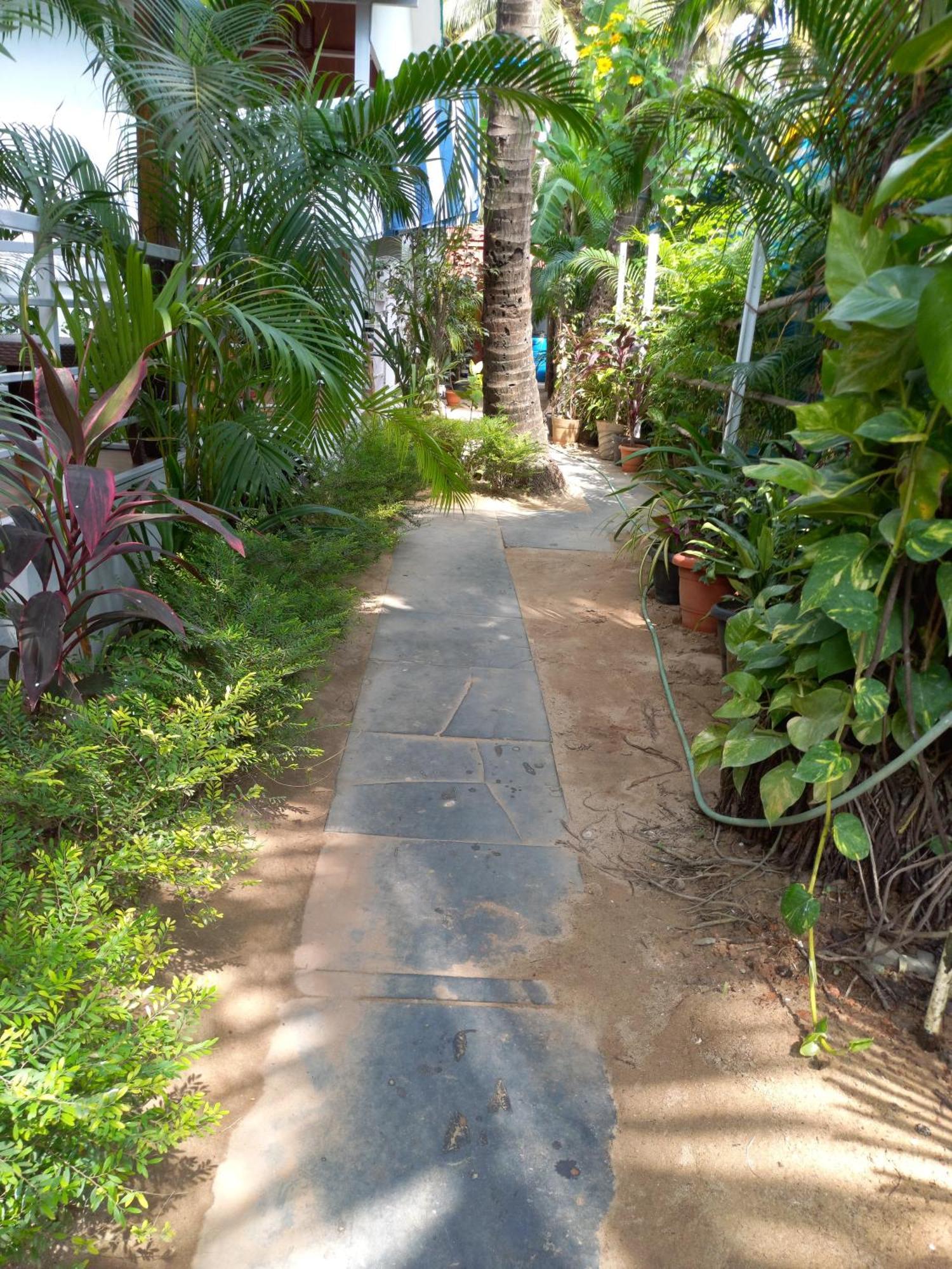 Royal Castle Resort Palolem, كِناكونا المظهر الخارجي الصورة