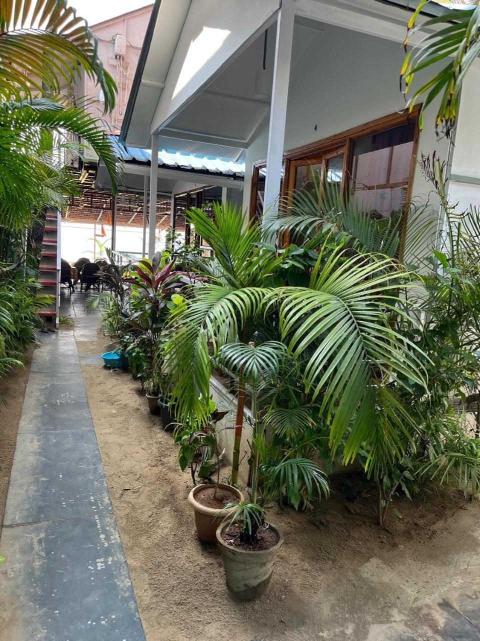Royal Castle Resort Palolem, كِناكونا المظهر الخارجي الصورة