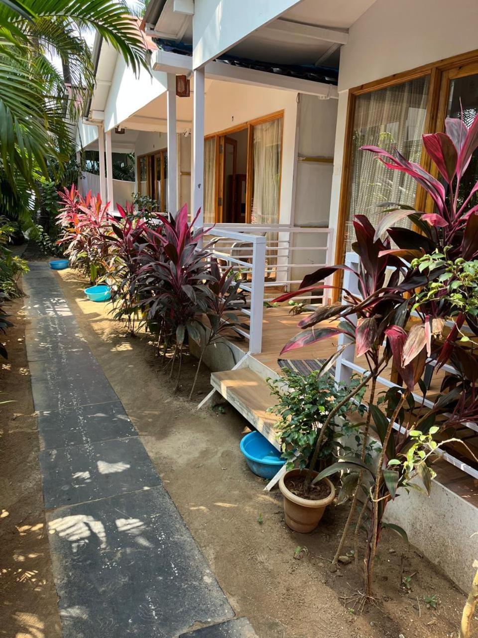 Royal Castle Resort Palolem, كِناكونا المظهر الخارجي الصورة